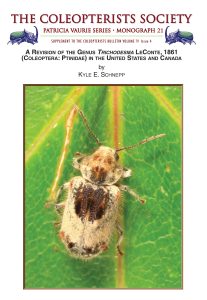 Cover for Monograph 21: A revision of the genus Trichodesma Leconte, 1861 (Coleoptera: Ptinidae) in the United States and Canada