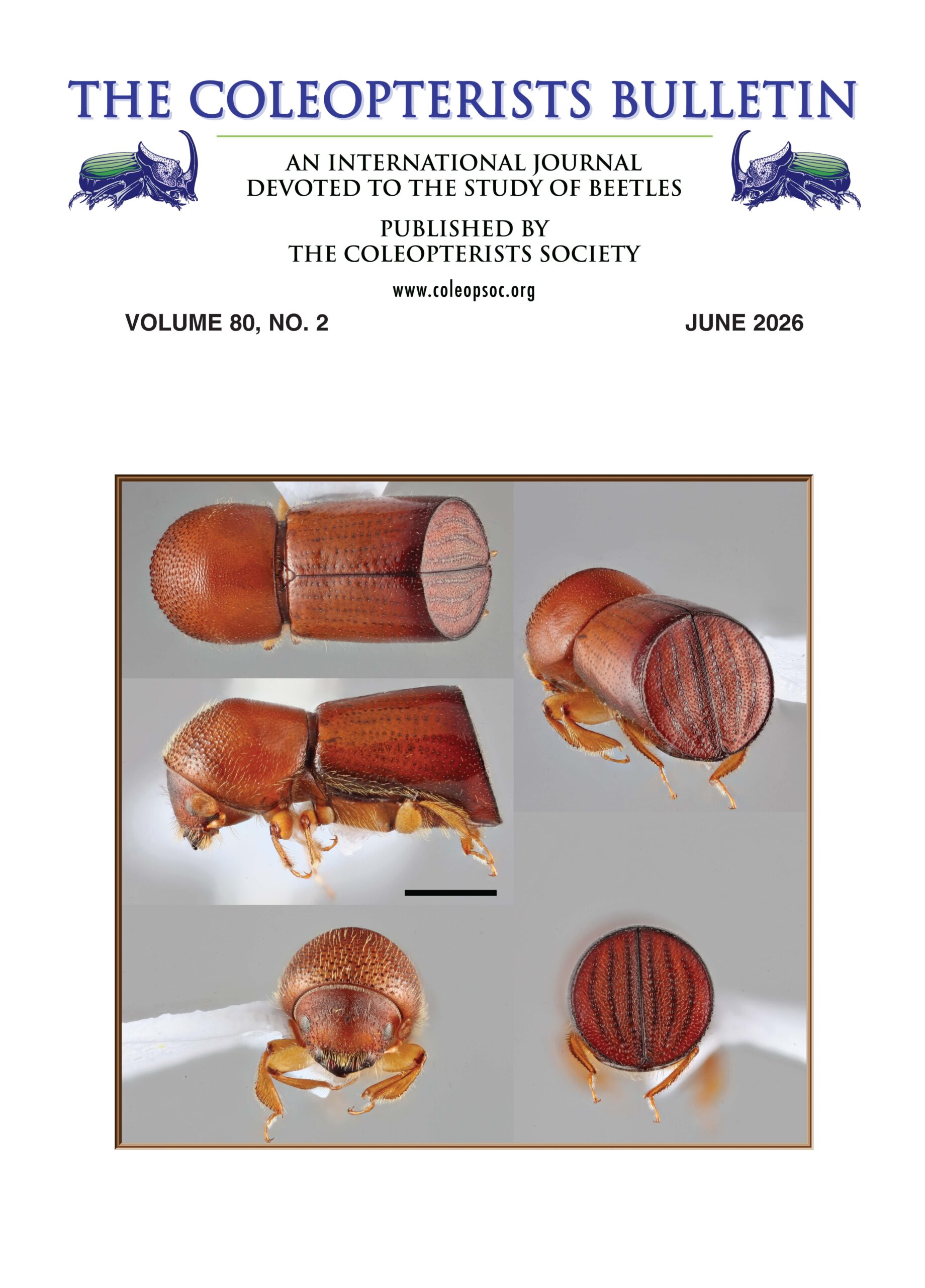 vol. 80(2) June 2026